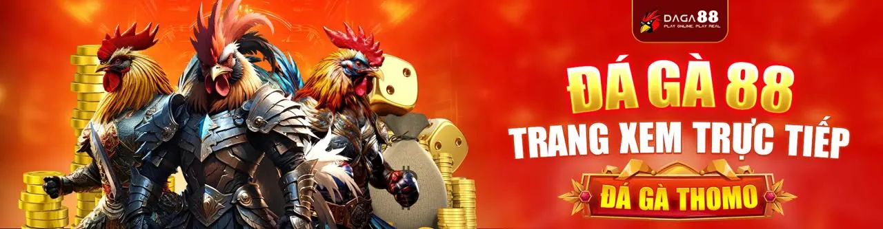 Đá Gà Trực Tuyến TJ77 NỔ HŨ